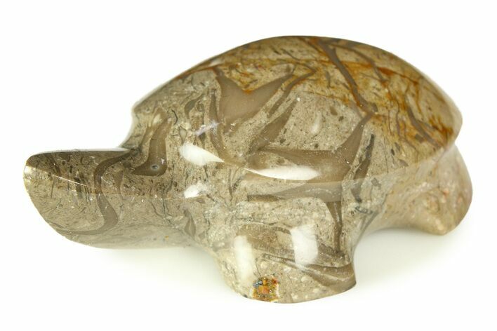 Carved Fossil Shell Hash Turtle - Philippines #308567